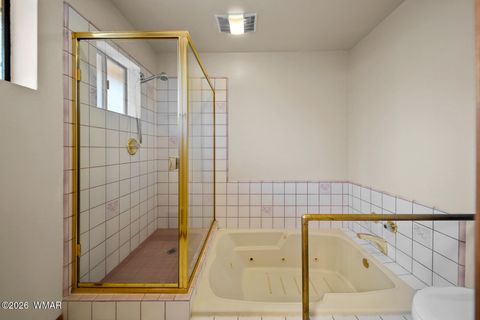 Tiny photo for 1100 N 2nd Place, Show Low, AZ 85901 (MLS # 259587)