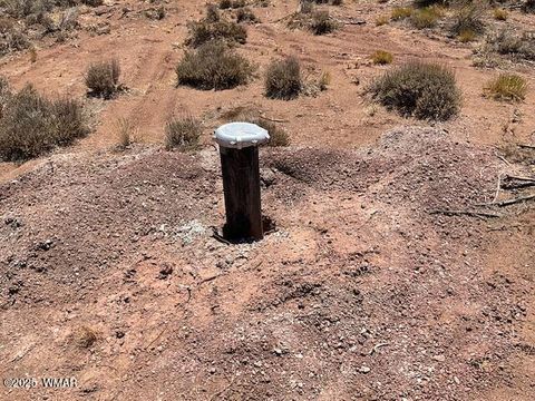 Tiny photo for 000 Churchill Road, Snowflake, AZ 85937 (MLS # 258934)