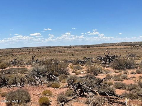 Tiny photo for 000 Churchill Road, Snowflake, AZ 85937 (MLS # 258934)