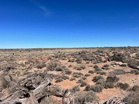 Tiny photo for 000 Churchill Road, Snowflake, AZ 85937 (MLS # 258934)