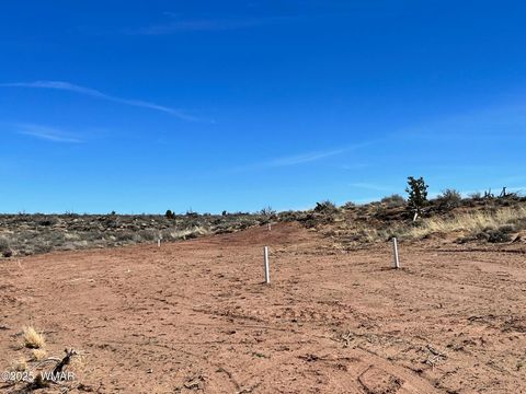 Tiny photo for 000 Churchill Road, Snowflake, AZ 85937 (MLS # 258934)