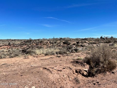 Tiny photo for 000 Churchill Road, Snowflake, AZ 85937 (MLS # 258934)