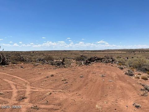 Tiny photo for 000 Churchill Road, Snowflake, AZ 85937 (MLS # 258934)