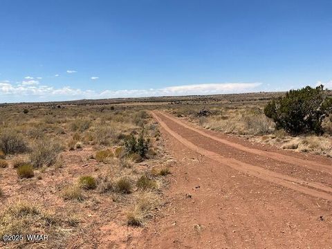 Tiny photo for 000 Churchill Road, Snowflake, AZ 85937 (MLS # 258934)