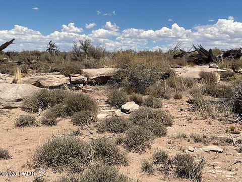 Tiny photo for 000 Churchill Road, Snowflake, AZ 85937 (MLS # 258934)