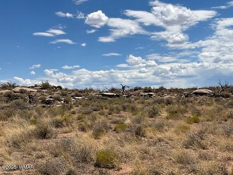 Tiny photo for 000 Churchill Road, Snowflake, AZ 85937 (MLS # 258934)