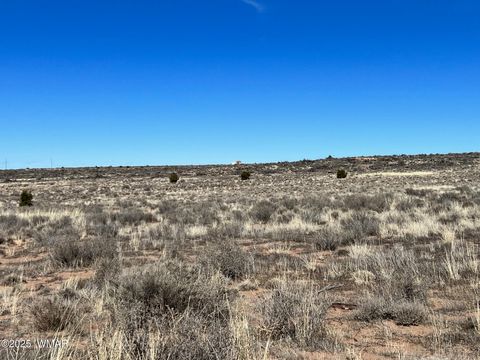 Tiny photo for 000 Churchill Road, Snowflake, AZ 85937 (MLS # 258934)