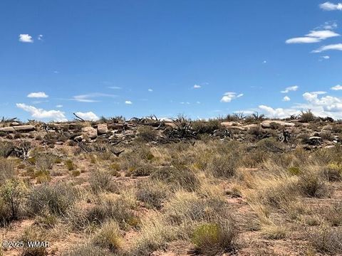 Tiny photo for 000 Churchill Road, Snowflake, AZ 85937 (MLS # 258934)