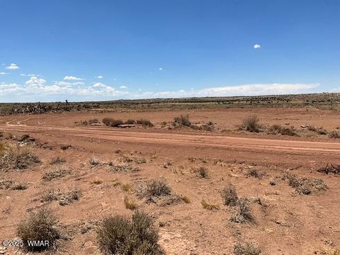 Tiny photo for 000 Churchill Road, Snowflake, AZ 85937 (MLS # 258934)