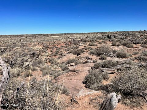 Tiny photo for 000 Churchill Road, Snowflake, AZ 85937 (MLS # 258934)