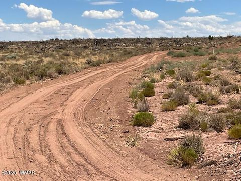 Tiny photo for 000 Churchill Road, Snowflake, AZ 85937 (MLS # 258934)