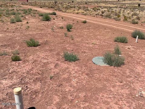 Tiny photo for 000 Churchill Road, Snowflake, AZ 85937 (MLS # 258934)