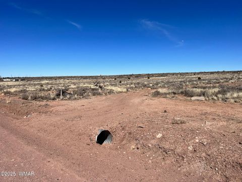 Tiny photo for 000 Churchill Road, Snowflake, AZ 85937 (MLS # 258934)
