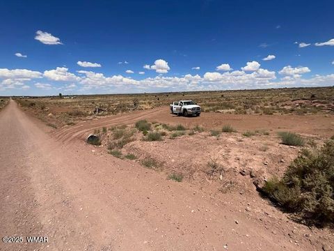 Tiny photo for 000 Churchill Road, Snowflake, AZ 85937 (MLS # 258934)