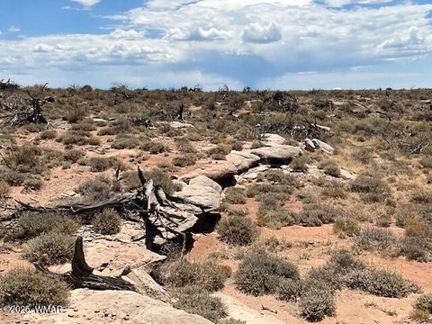 Tiny photo for 000 Churchill Road, Snowflake, AZ 85937 (MLS # 258934)