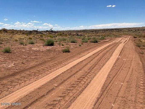 Tiny photo for 000 Churchill Road, Snowflake, AZ 85937 (MLS # 258934)