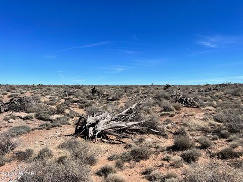 Tiny photo for 000 Churchill Road, Snowflake, AZ 85937 (MLS # 258934)