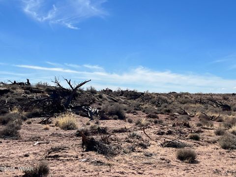 Tiny photo for 000 Churchill Road, Snowflake, AZ 85937 (MLS # 258934)