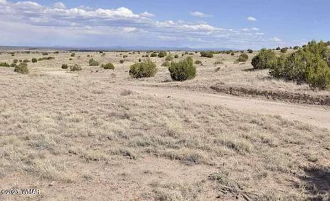 Tiny photo for 0 S Powerline Road, Taylor, AZ 85939 (MLS # 258369)