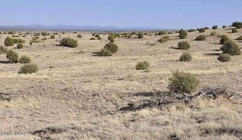 Tiny photo for 0 S Powerline Road, Taylor, AZ 85939 (MLS # 258369)