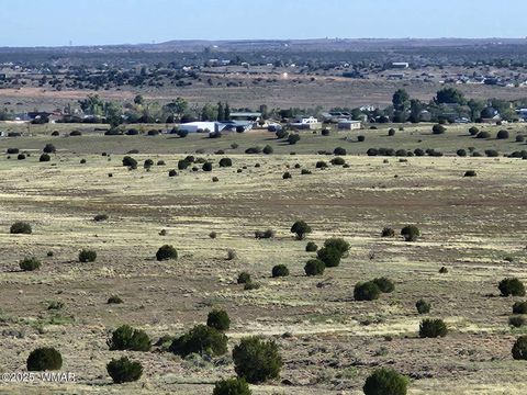 Photo of 0 S Powerline Road, Taylor, AZ 85939 (MLS # 258369)