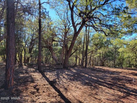 Photo of 6630 West Drive, Show Low, AZ 85901 (MLS # 258390)