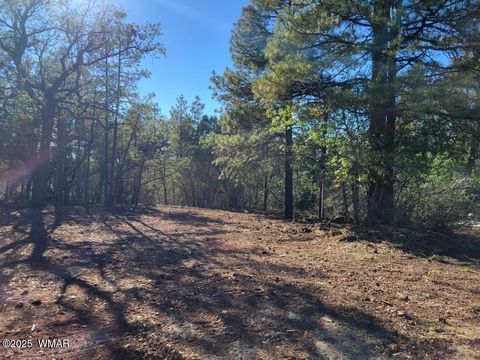 Tiny photo for 6630 West Drive, Show Low, AZ 85901 (MLS # 258390)