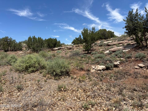 Tiny photo for 442 W Rodeo Road, Snowflake, AZ 85937 (MLS # 262356)