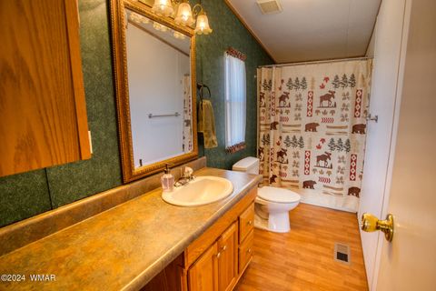 Tiny photo for 6253 Apache Trail, Show Low, AZ 85901 (MLS # 255752)