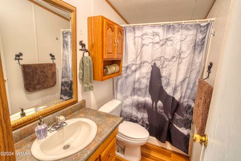 Tiny photo for 6253 Apache Trail, Show Low, AZ 85901 (MLS # 255752)
