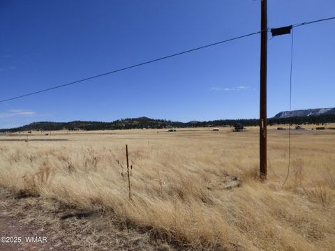 Tiny photo for 34 County Road 2100, Alpine, AZ 85920 (MLS # 255063)