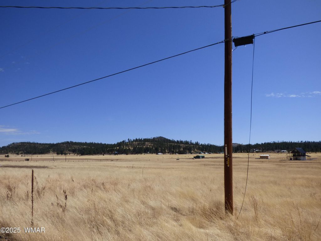 Photo for 34 County Road 2100, Alpine, AZ 85920 (MLS # 255063)