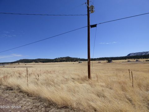 Tiny photo for 34 County Road 2100, Alpine, AZ 85920 (MLS # 255063)