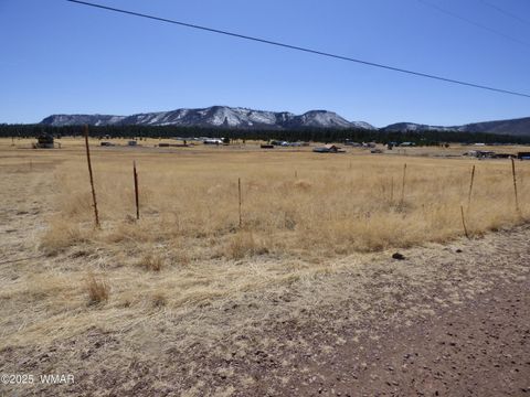 Tiny photo for 34 County Road 2100, Alpine, AZ 85920 (MLS # 255063)