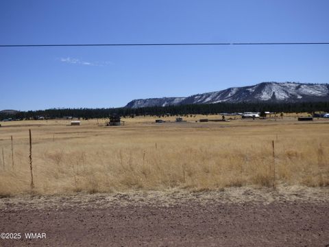 Tiny photo for 34 County Road 2100, Alpine, AZ 85920 (MLS # 255063)