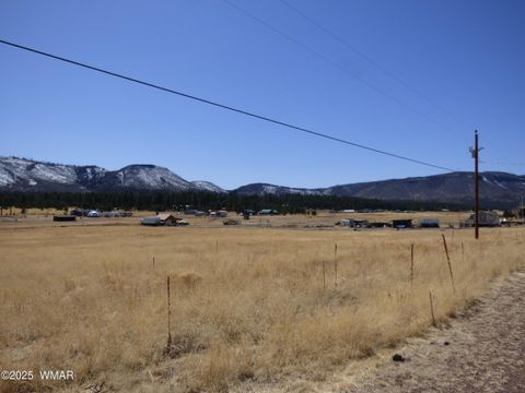 Tiny photo for 34 County Road 2100, Alpine, AZ 85920 (MLS # 255063)