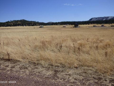 Tiny photo for 34 County Road 2100, Alpine, AZ 85920 (MLS # 255063)