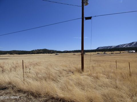 Tiny photo for 34 County Road 2100, Alpine, AZ 85920 (MLS # 255063)
