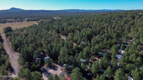 Tiny photo for 2361 E Bulldog Lane, Show Low, AZ 85901 (MLS # 262037)