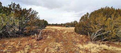 Tiny photo for 1638 Trinity Place, Show Low, AZ 85901 (MLS # 254523)