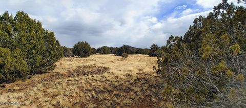 Tiny photo for 1638 Trinity Place, Show Low, AZ 85901 (MLS # 254523)