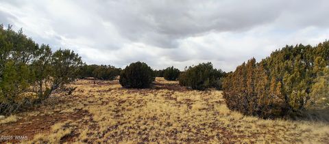 Tiny photo for 1638 Trinity Place, Show Low, AZ 85901 (MLS # 254523)