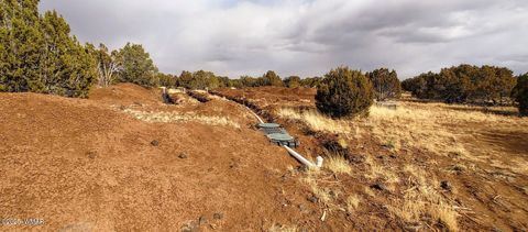 Tiny photo for 1638 Trinity Place, Show Low, AZ 85901 (MLS # 254523)