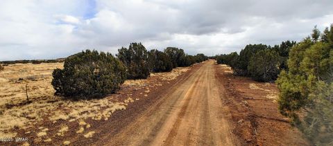 Tiny photo for 1638 Trinity Place, Show Low, AZ 85901 (MLS # 254523)