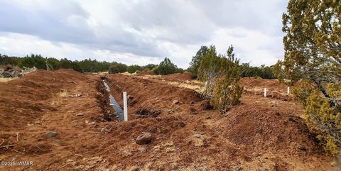 Tiny photo for 1638 Trinity Place, Show Low, AZ 85901 (MLS # 254523)