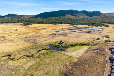 Tiny photo for 216 CR 2311, Alpine, AZ 85920 (MLS # 260324)