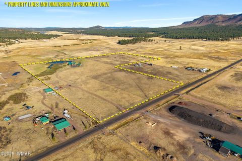 Tiny photo for 216 CR 2311, Alpine, AZ 85920 (MLS # 260324)