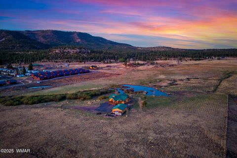 Tiny photo for 216 CR 2311, Alpine, AZ 85920 (MLS # 260324)