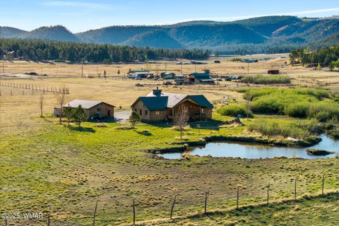 Tiny photo for 216 CR 2311, Alpine, AZ 85920 (MLS # 260324)