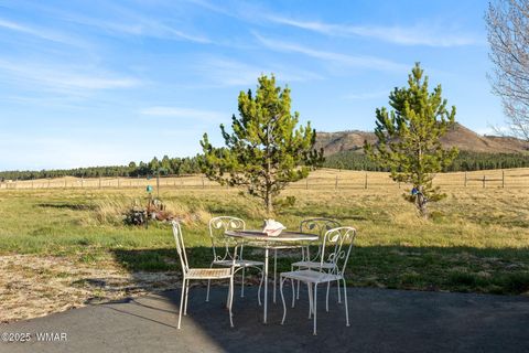 Tiny photo for 216 CR 2311, Alpine, AZ 85920 (MLS # 260324)